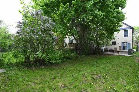 Kingdom backyard before renovation